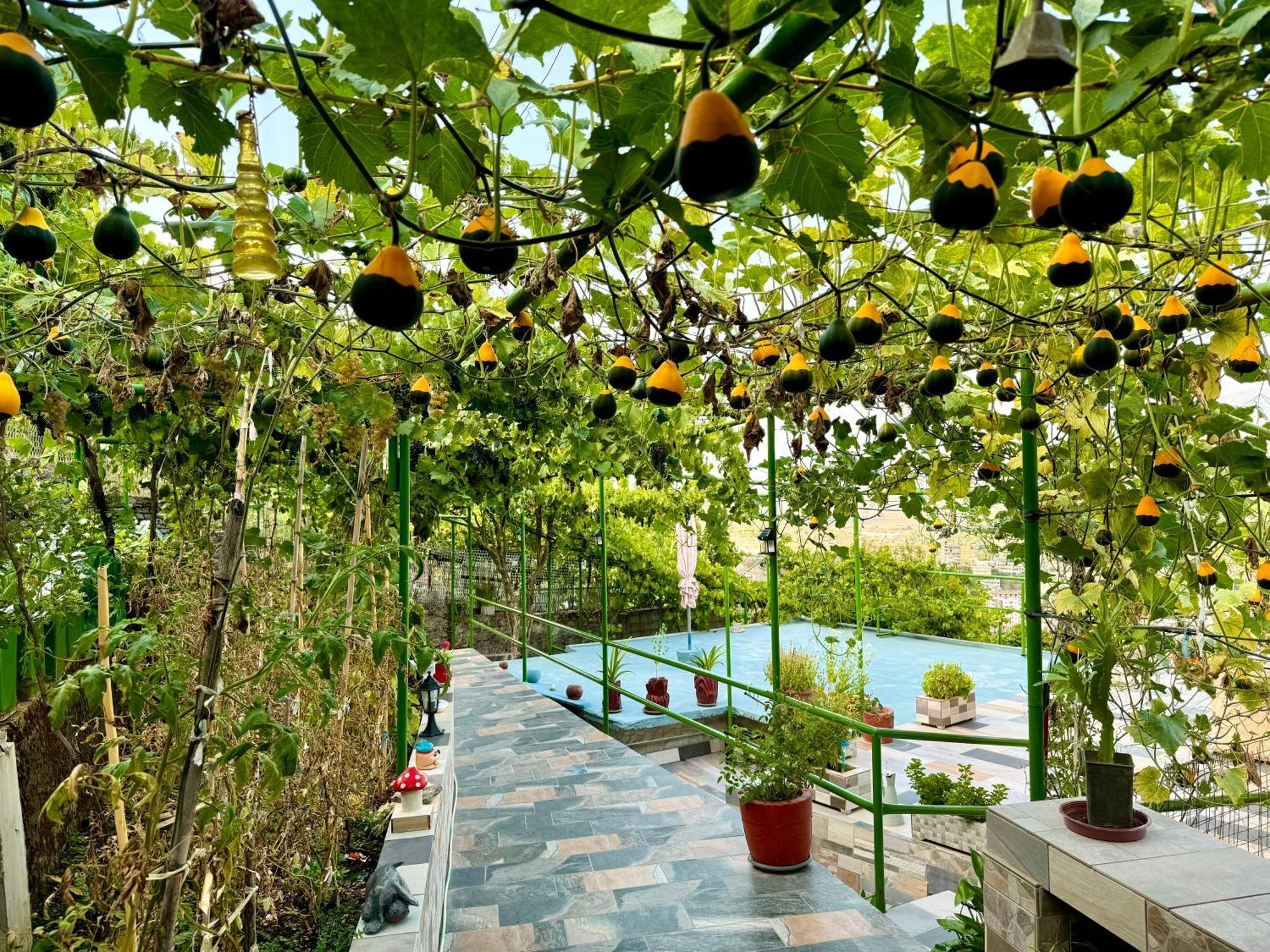 Panoramic View Guest House Gjirokastër Buitenkant foto